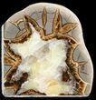 Polished Septarian Bookends #45928-1